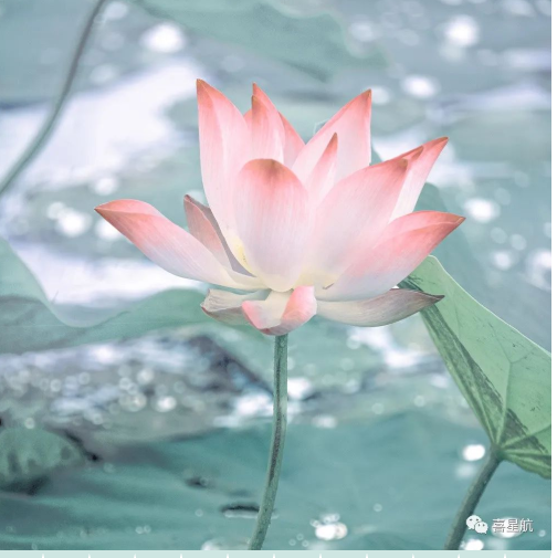 定了！今年居民醫(yī)保繳費(fèi)標(biāo)準(zhǔn)每人每年350元！